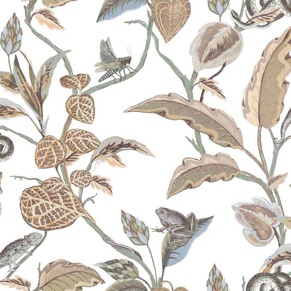 parato , botany house , 15506