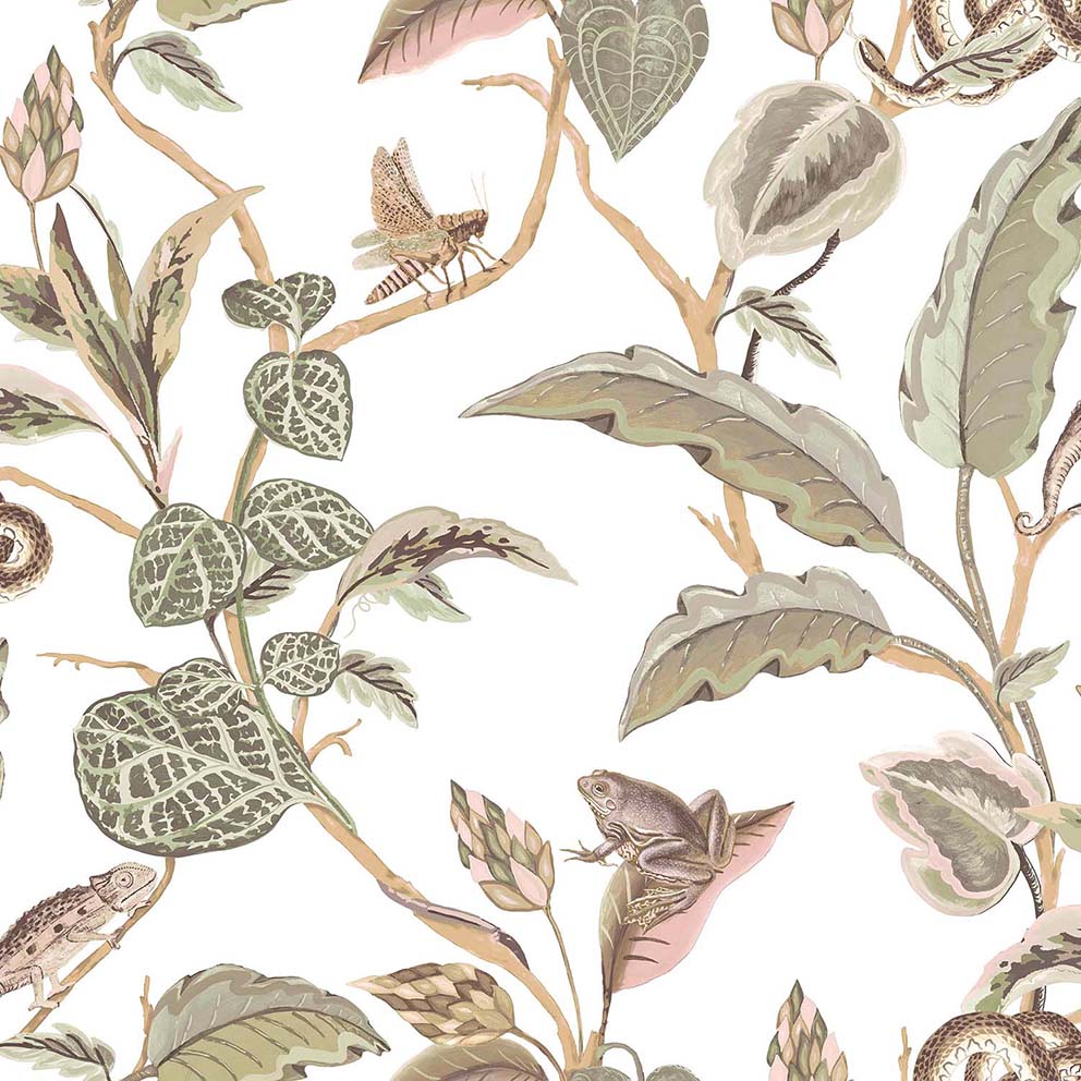 parato , botany house , 15507
