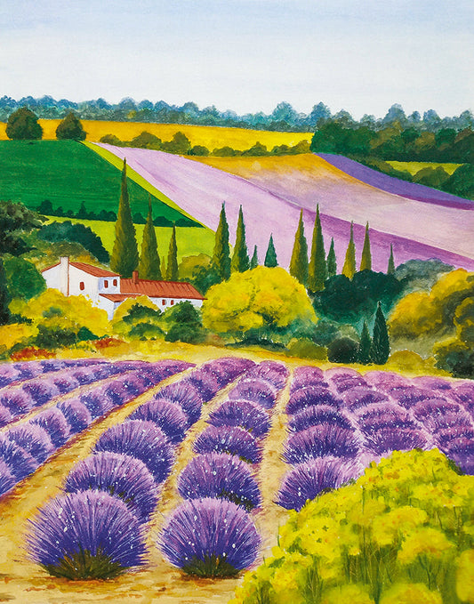 Marburg, Pompoos Provence - 35642