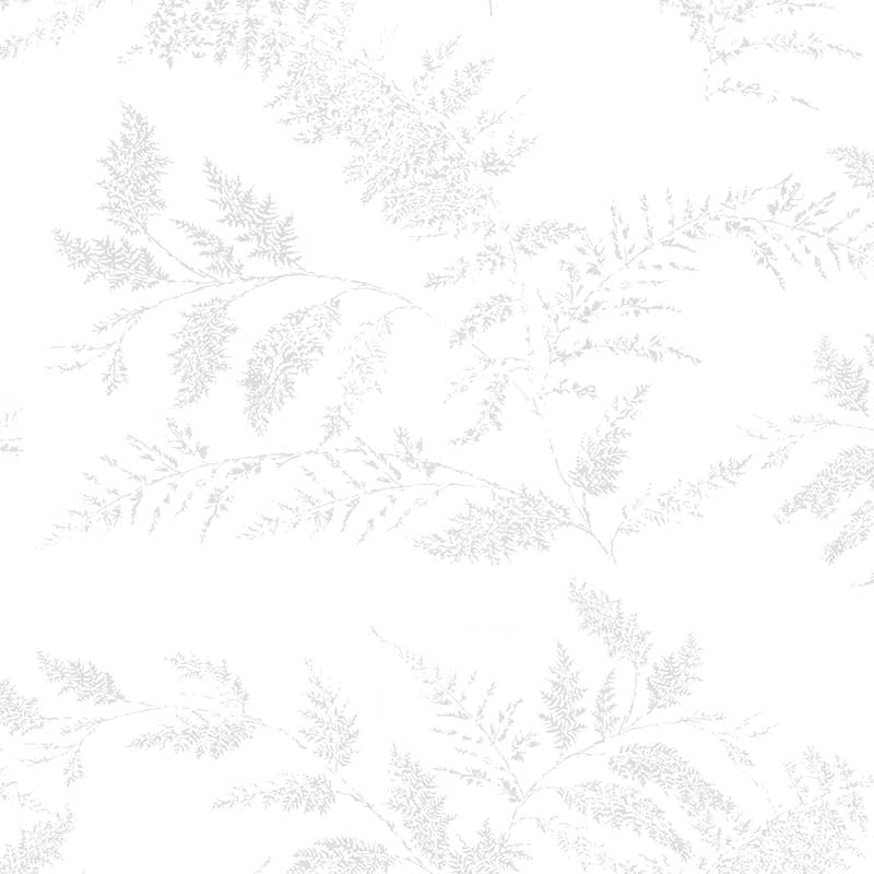 lutece, tartine & chocolat 3, 36200509