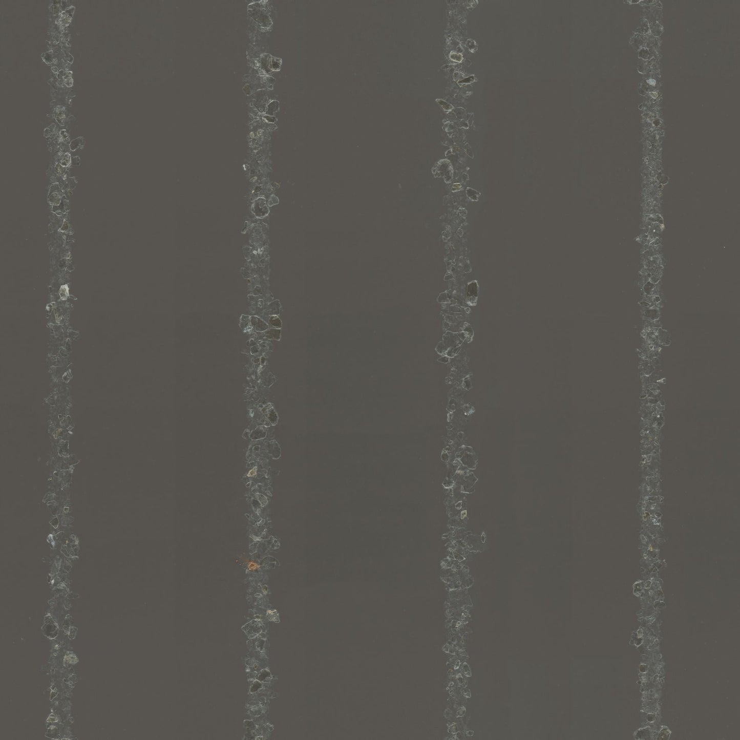 marburg, new amsterdam book, 55597