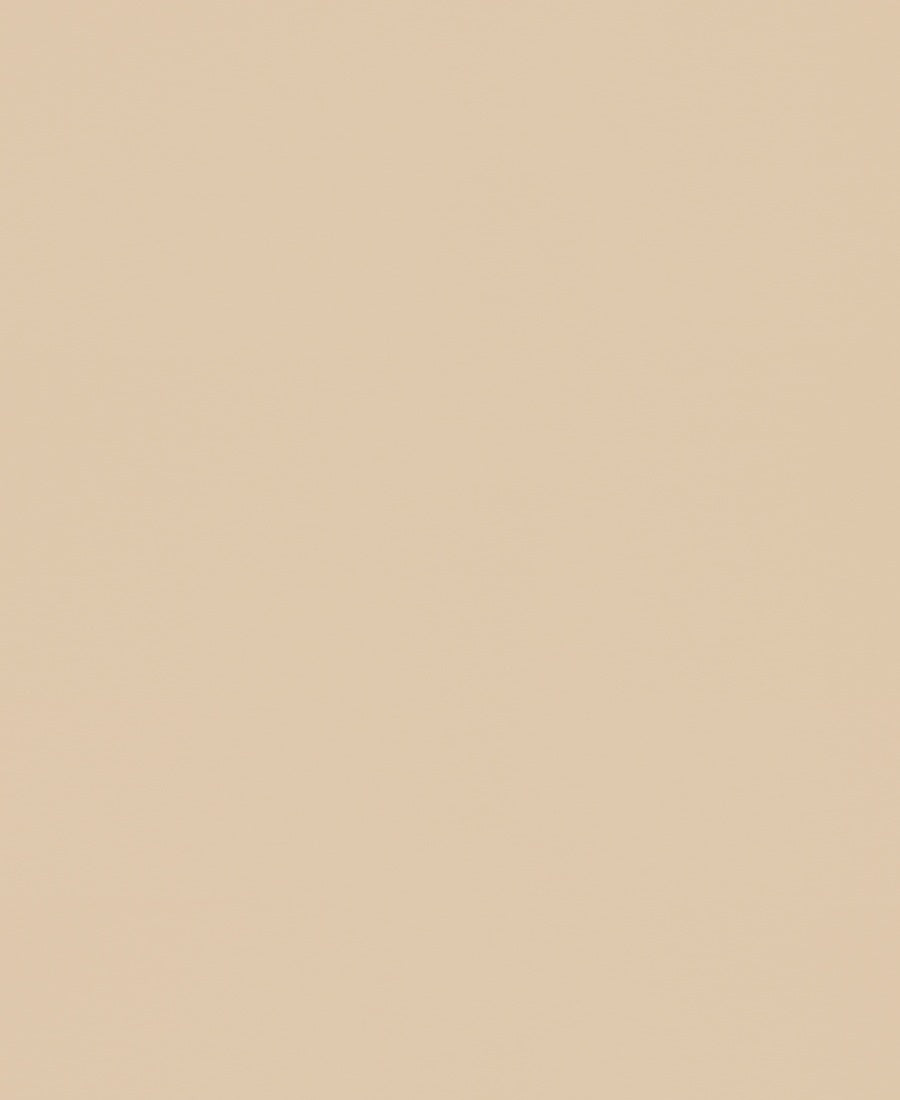 marburg, new amsterdam book, 74894