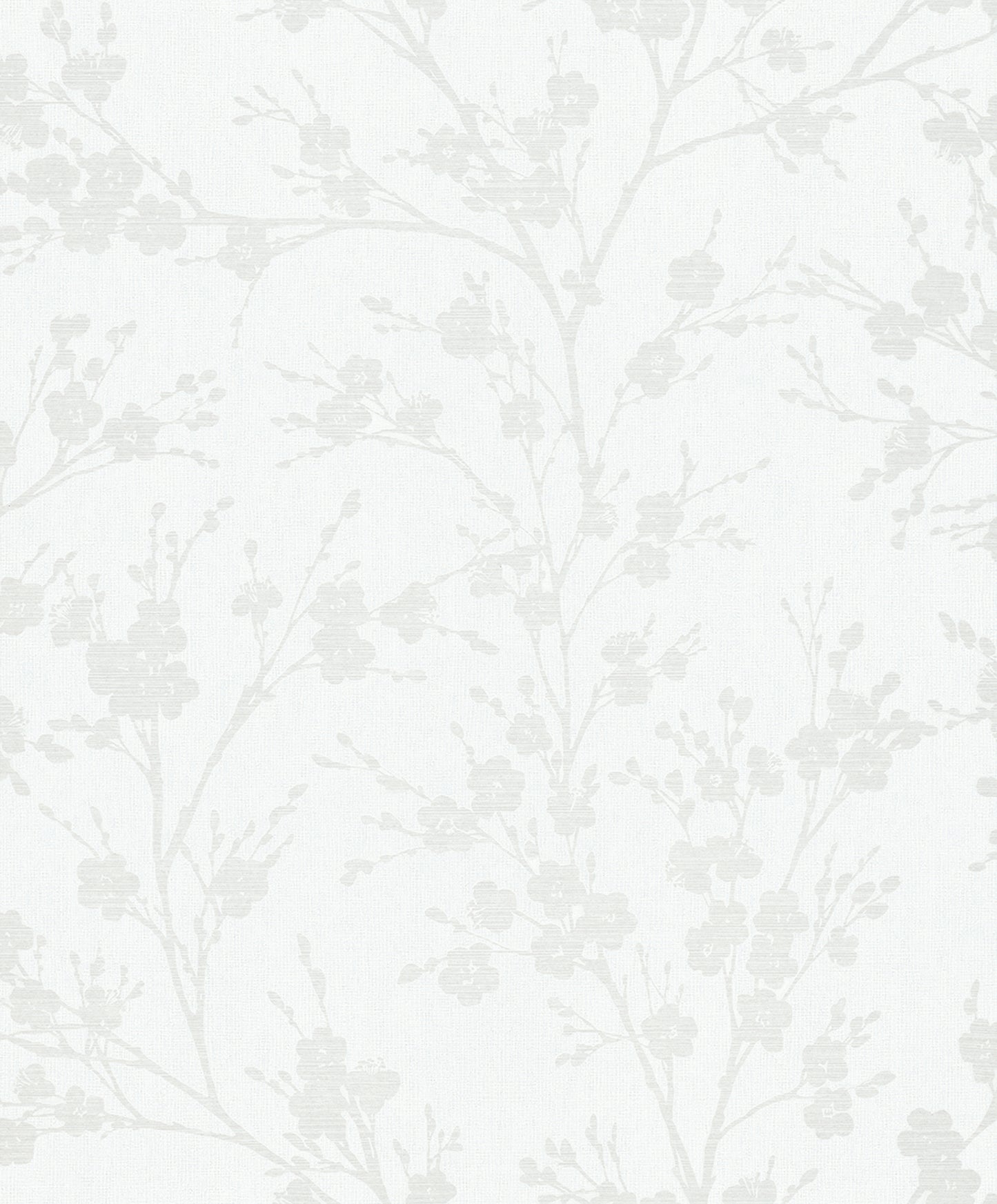 marburg , ivy , 82313