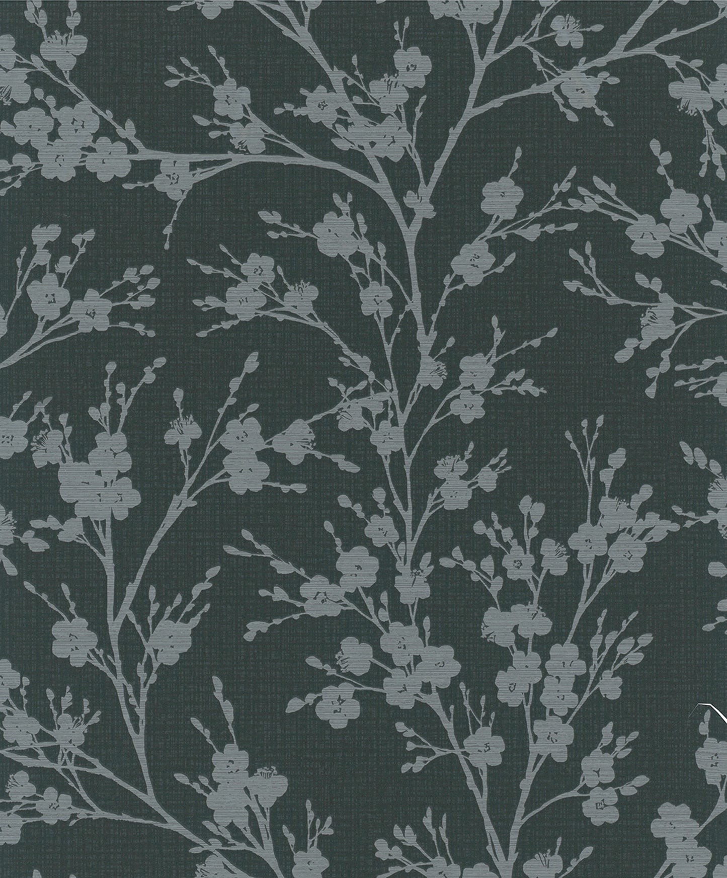 marburg , ivy , 82316