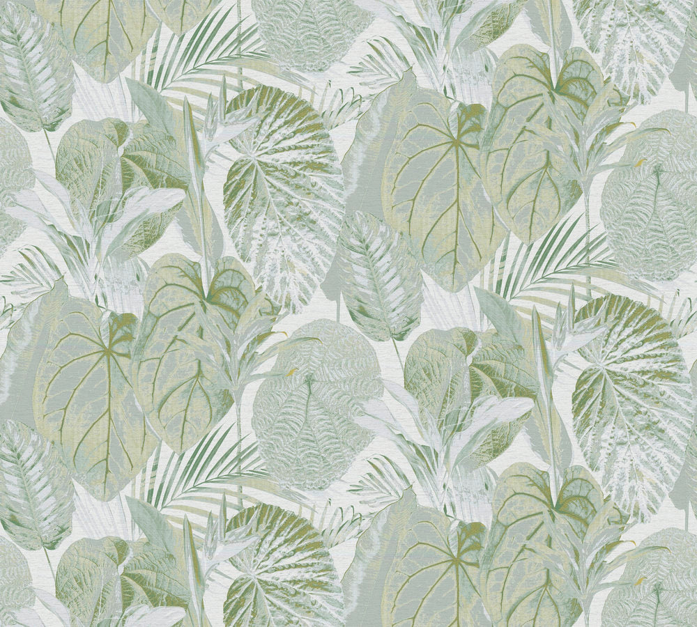 as creation , royal botanic , 394092