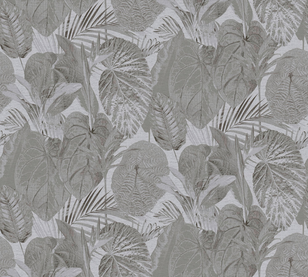 as creation , royal botanic , 394093
