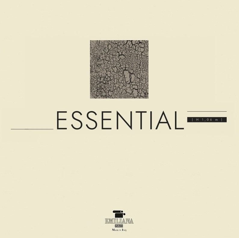 essential book