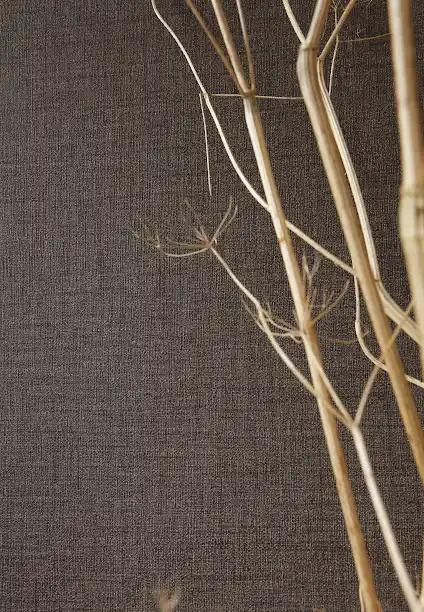 AS Creation, Desert Lodge, 385292