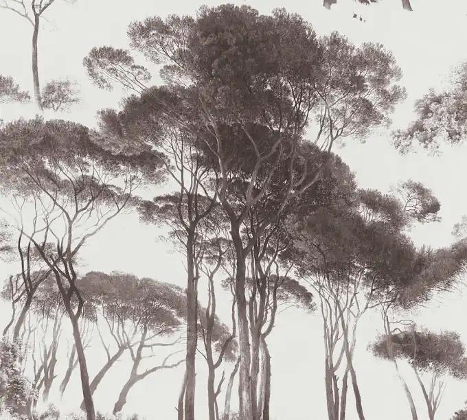 as creation, history of art, 376511