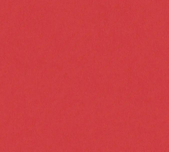 as creation, little love, 383242