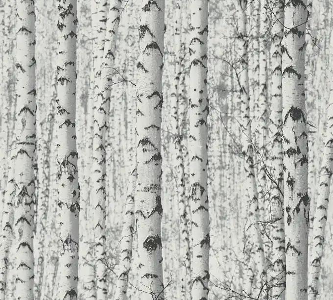 as creation, pintwalls, 387191