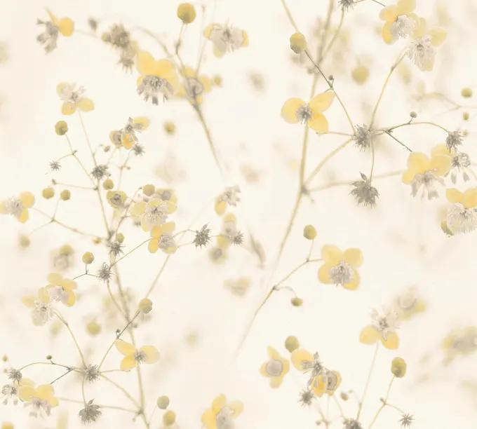 as creation, pintwalls, 387261