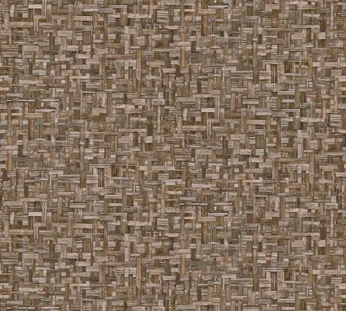 as creation, ap jungle chic, 377061