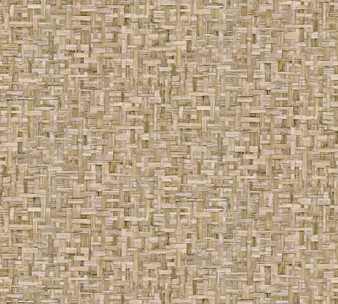 as creation, ap jungle chic, 377062