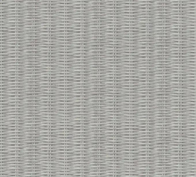 as creation, ap new walls, 373932