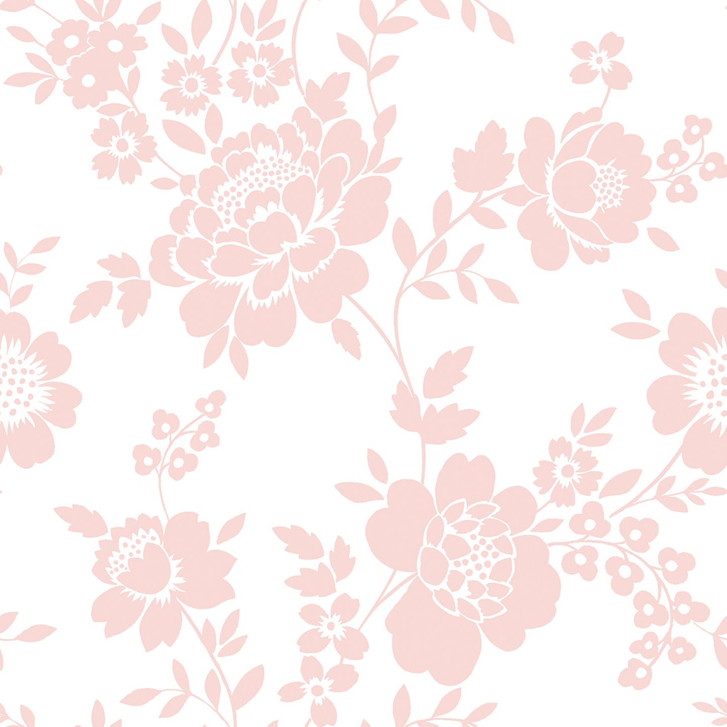 kt exclusive, kingsly, 72051