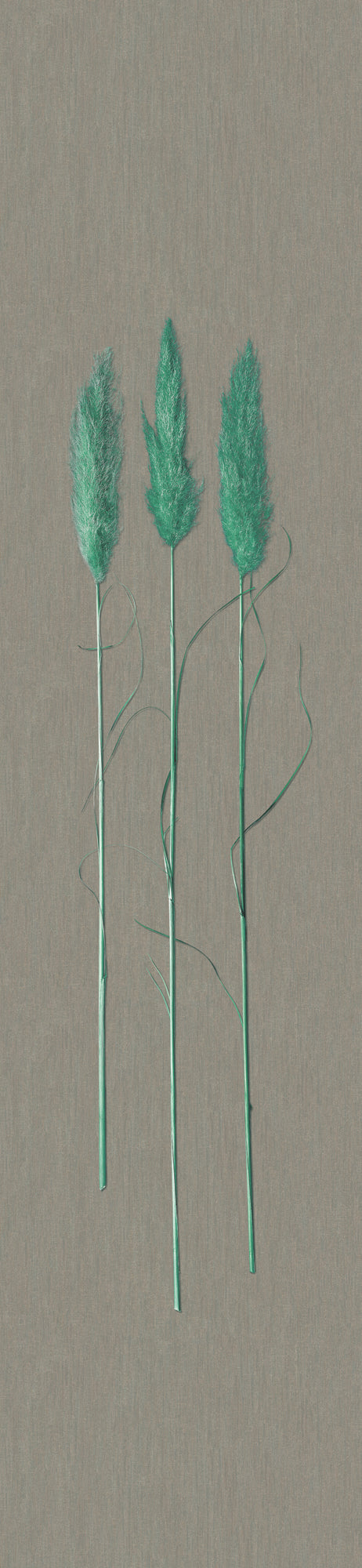 marburg, natural opulance, 33272