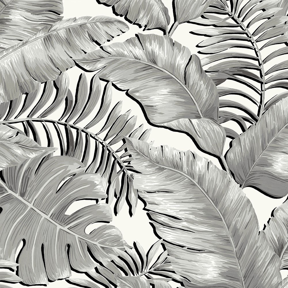 brand mckenzie, tropical daze, bmtd001/06a