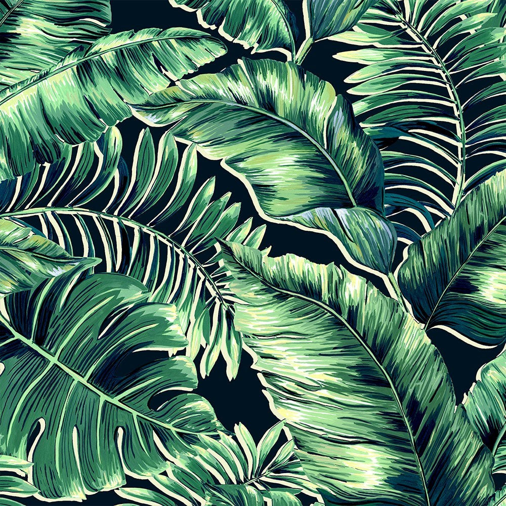 brand mckenzie, tropical daze, bmtd001/06c