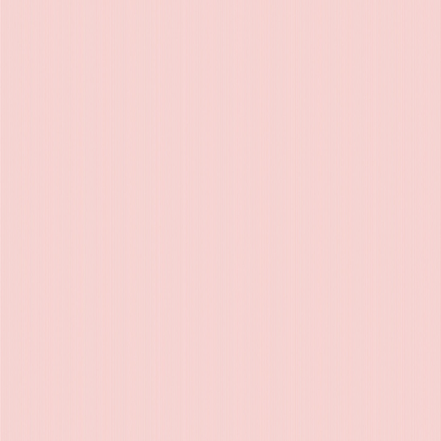 kt exclusive, kingsly, 72032