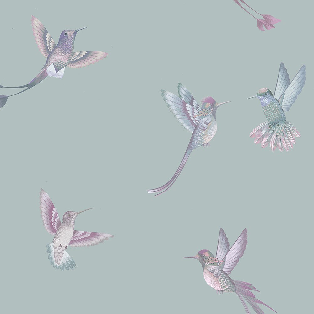 brand mckenzie, tropical daze, bmtd001/08a
