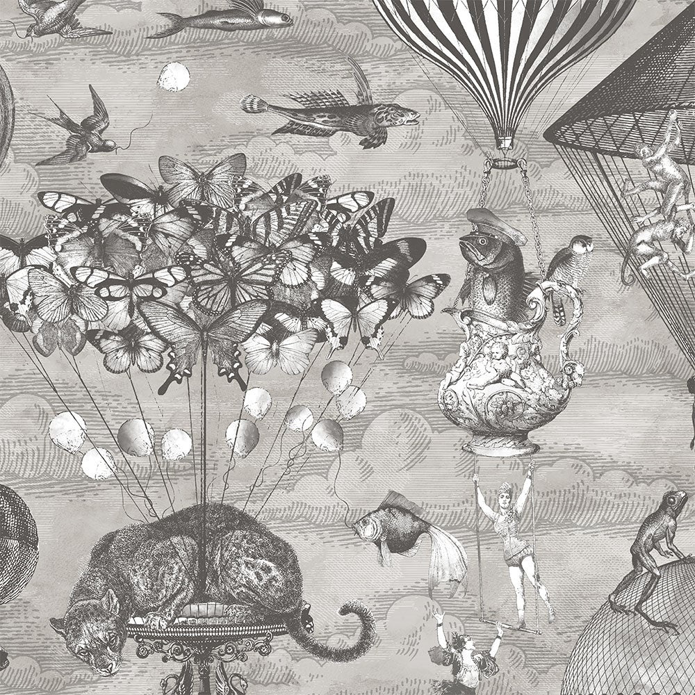 brand mckenzie, tropical daze, bmtd001/07a