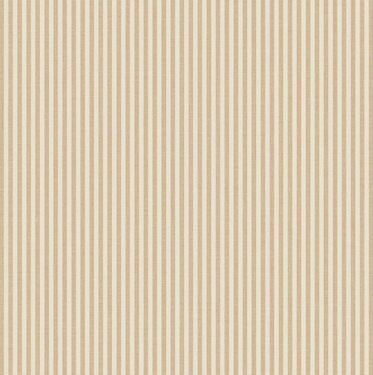 Parato , Top Stripes , 38483