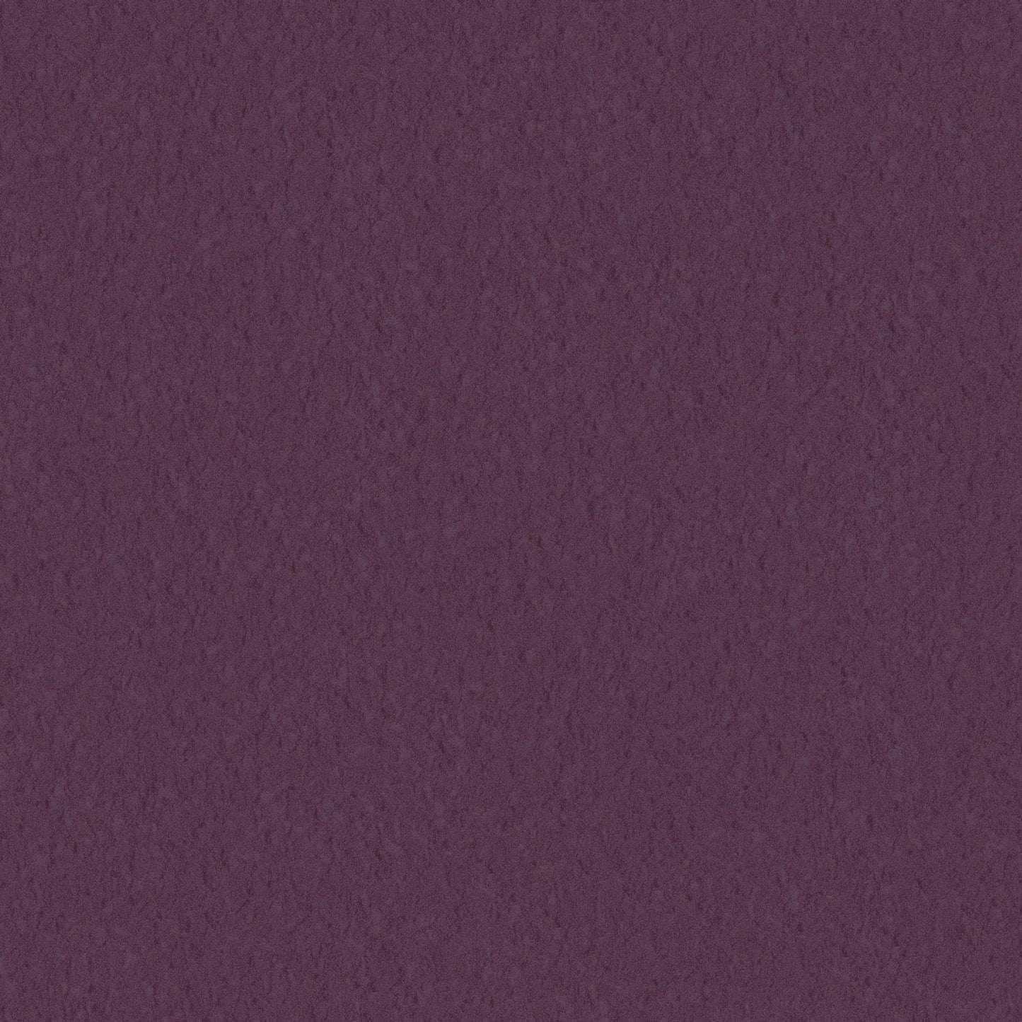 marburg, new amsterdam book, 55558