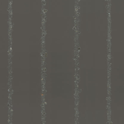 Marburg, New Amsterdam Book, 55597