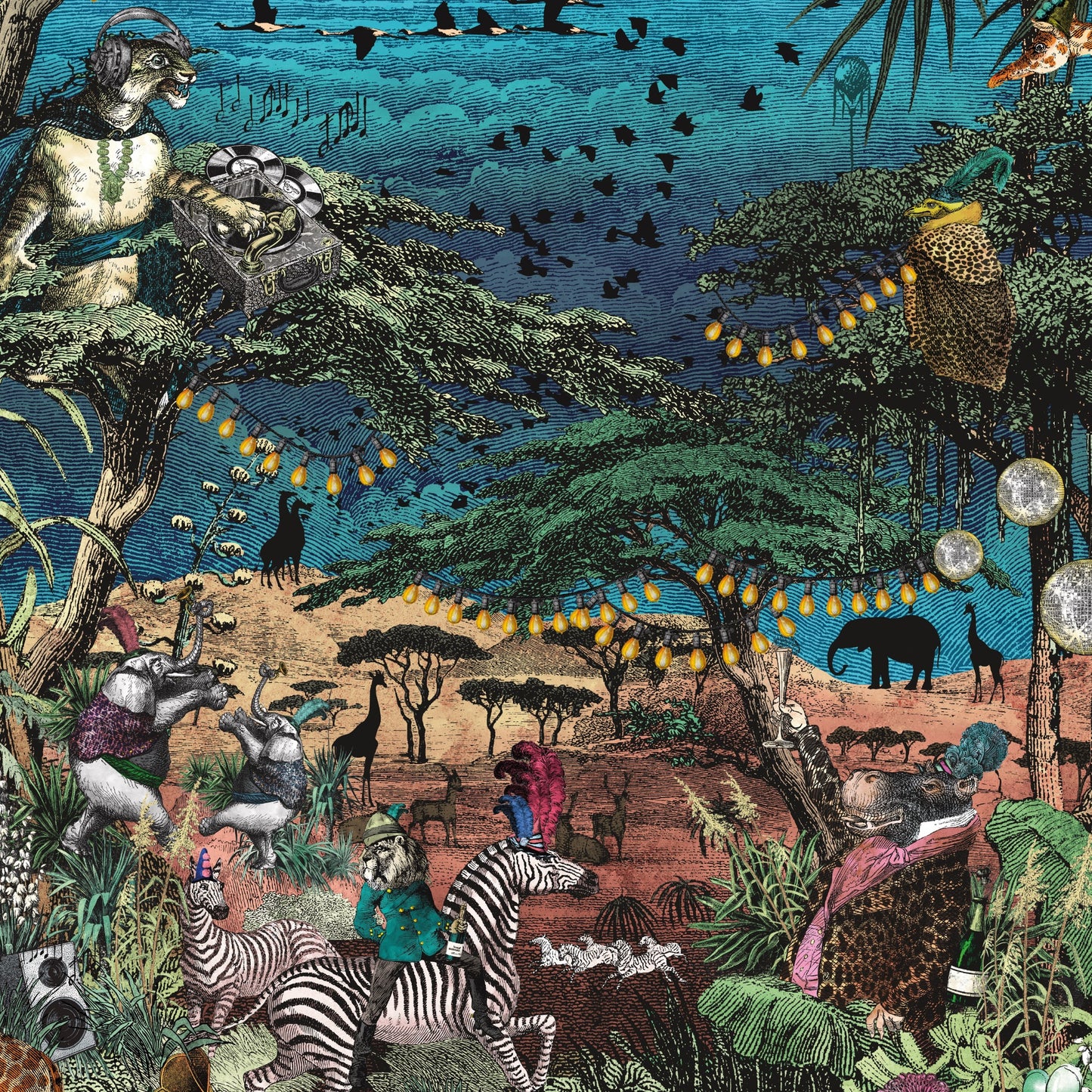 brand mckenzie ,groove inferno , bmgi006/01a