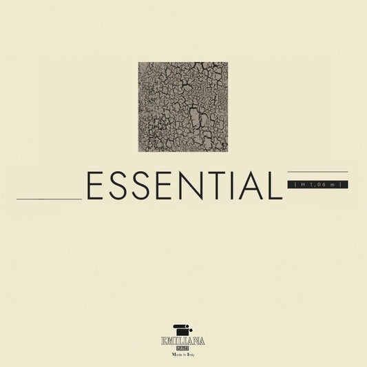 ESSENTIAL book