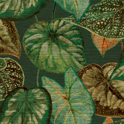 Decoprint, Tahiti, TA25054